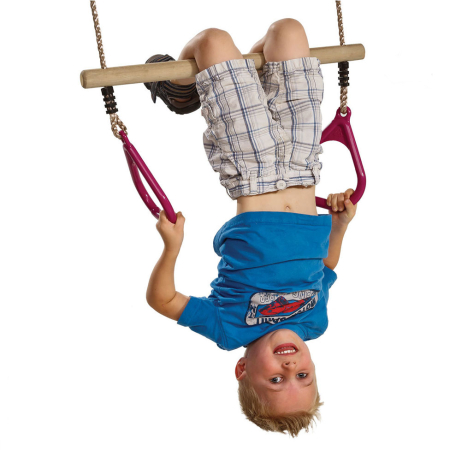 Trapeze Playframe Accessory