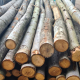 Chestnut Poles