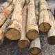 Chestnut Strainer Posts
