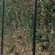 Chain Link Rolls PVC
