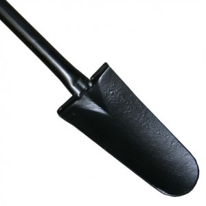 Griffin fencing graft head shape detail