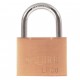 Squire Leopard Shed Padlock 60mm