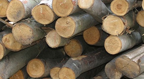 Chestnut Posts