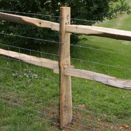 Chestnut post with mortise holes for 2 rail post and rail fencing